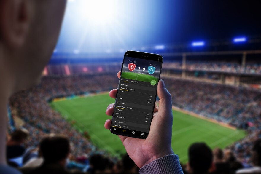 Everything You Need to Know About 24betting India
