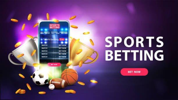 Everything You Need to Know About 24betting India